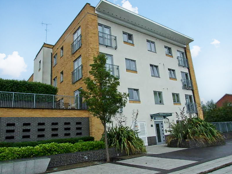 Main Image